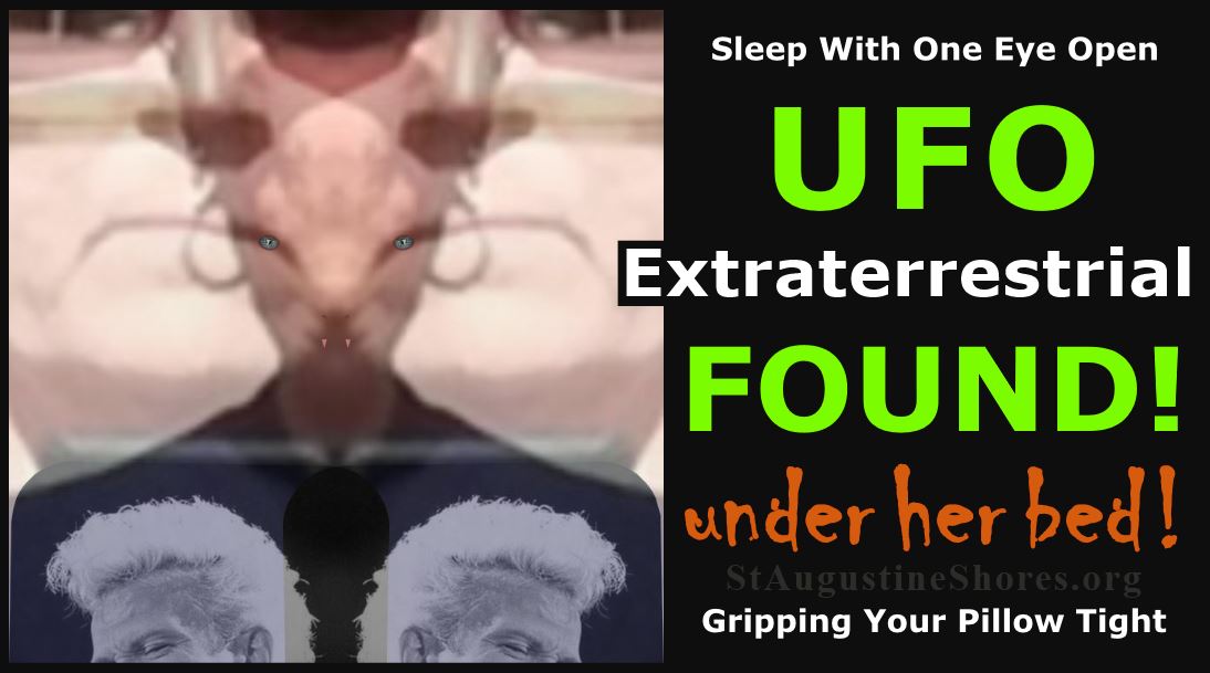 UFO - Extraterrestrial Found - Pareidolia Phenomenon